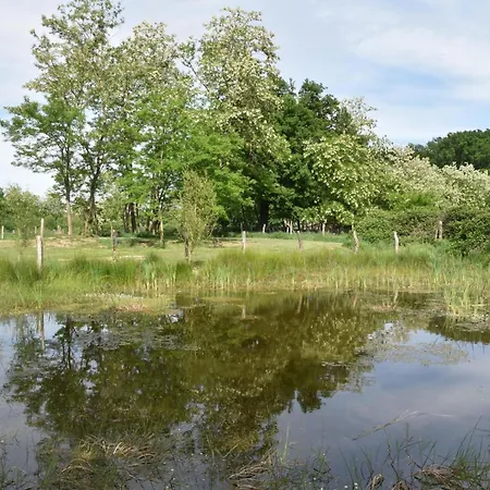 Σπίτι διακοπών Ecologique Accueillant En Sologne Bourbonnaise, Animaux Acceptes, Parking - Fr-1-489-614 Thiel-sur-Acolin