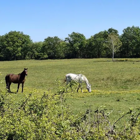 Σπίτι διακοπών Ecologique Accueillant En Sologne Bourbonnaise, Animaux Acceptes, Parking - Fr-1-489-614 *