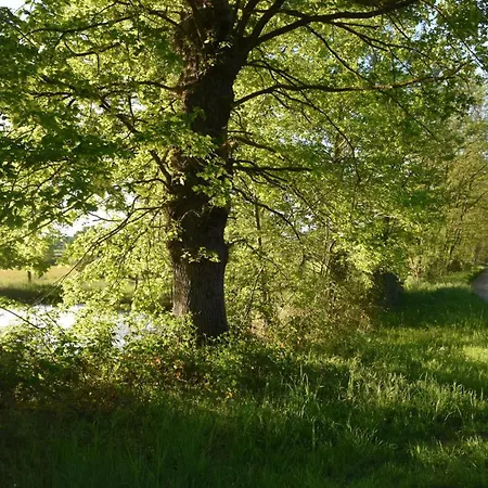 Ecologique Accueillant En Sologne Bourbonnaise, Animaux Acceptes, Parking - Fr-1-489-614 Σπίτι διακοπών